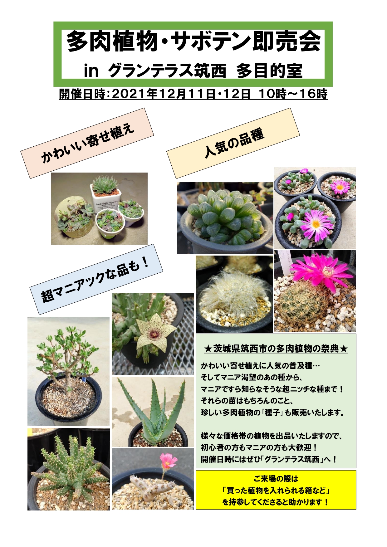 １２月１１日 土 １２日 日 多肉植物 サボテン即売会 を開催します 終了しました グランテラス筑西